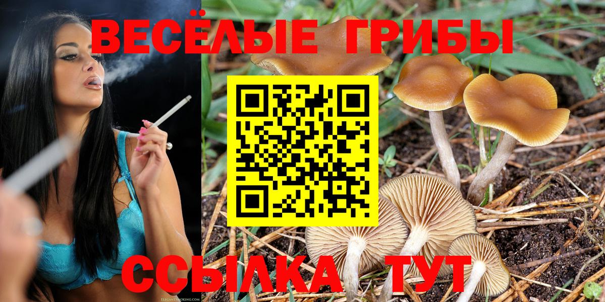 Галлюциногенные грибы Cubensis Фурманов