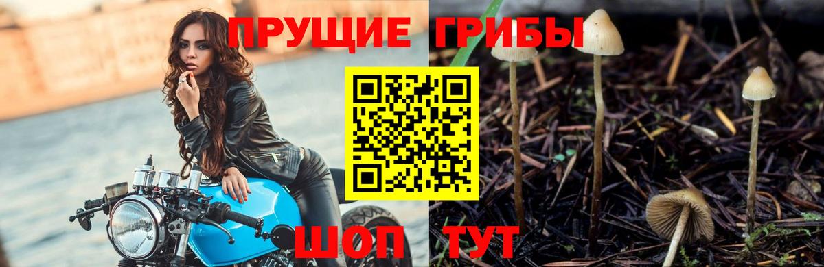 наркотики  Вход с VPN  Фурманов  Псилоцибиновые грибы Magic Shrooms 
